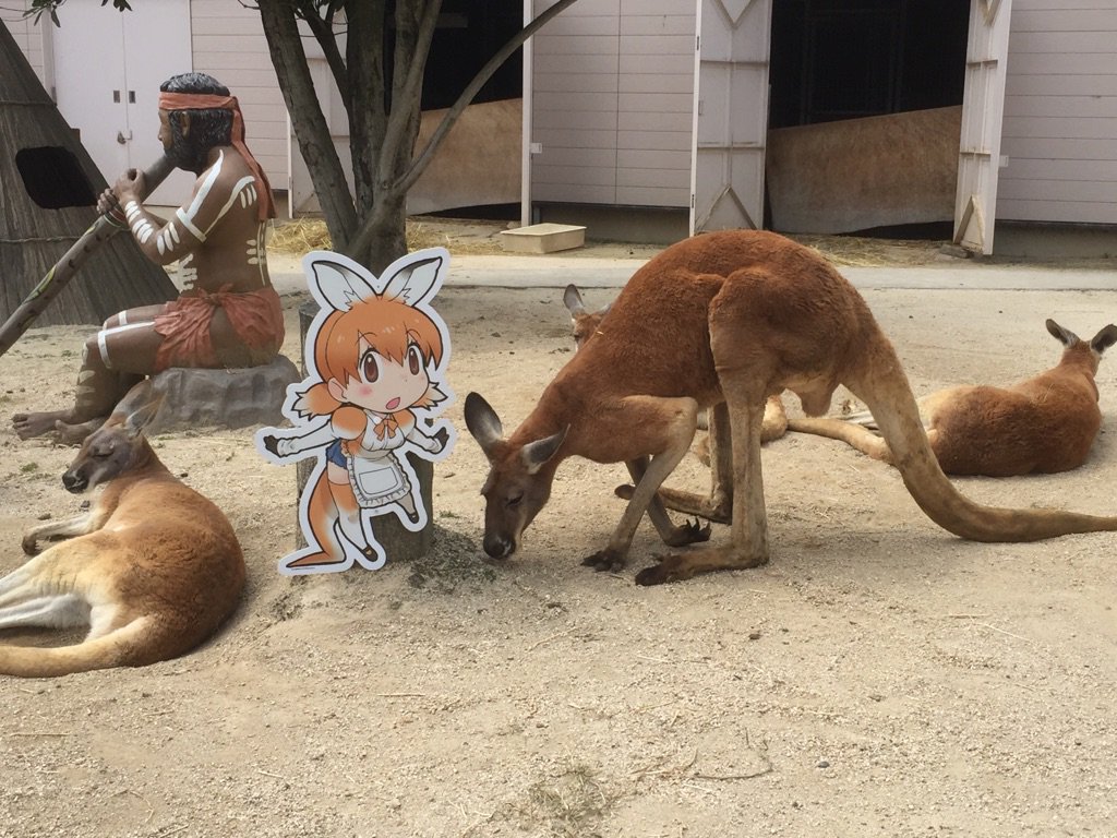 圖片來源：tobuzoo7／twitter