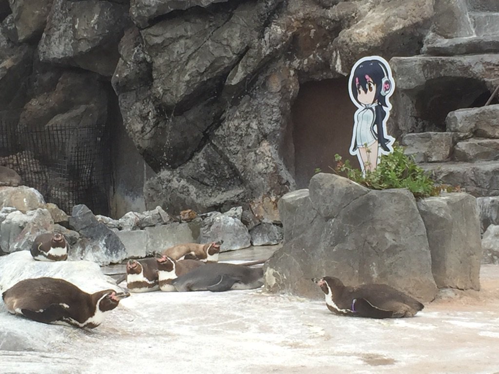 圖片來源：tobuzoo7／twitter