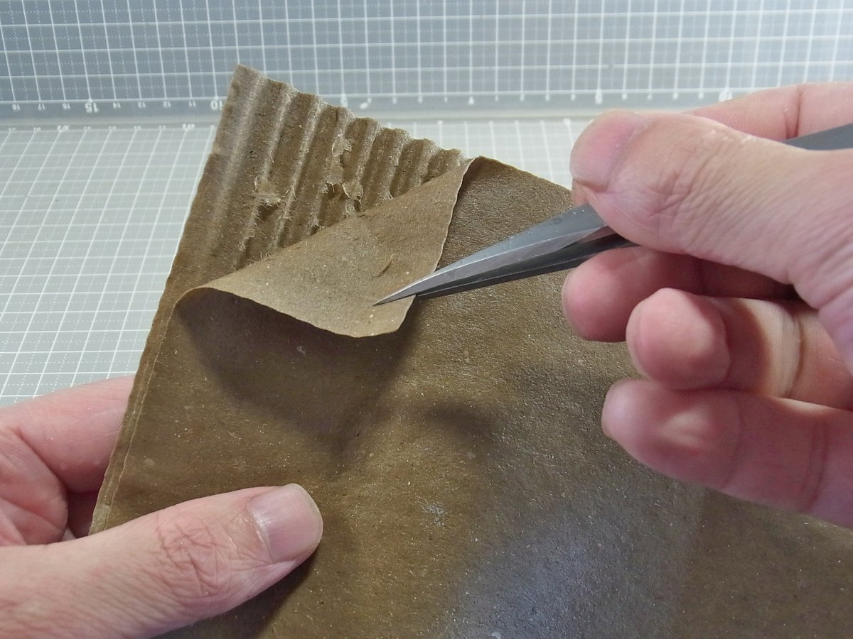 圖片來源:hiralin502/twitter