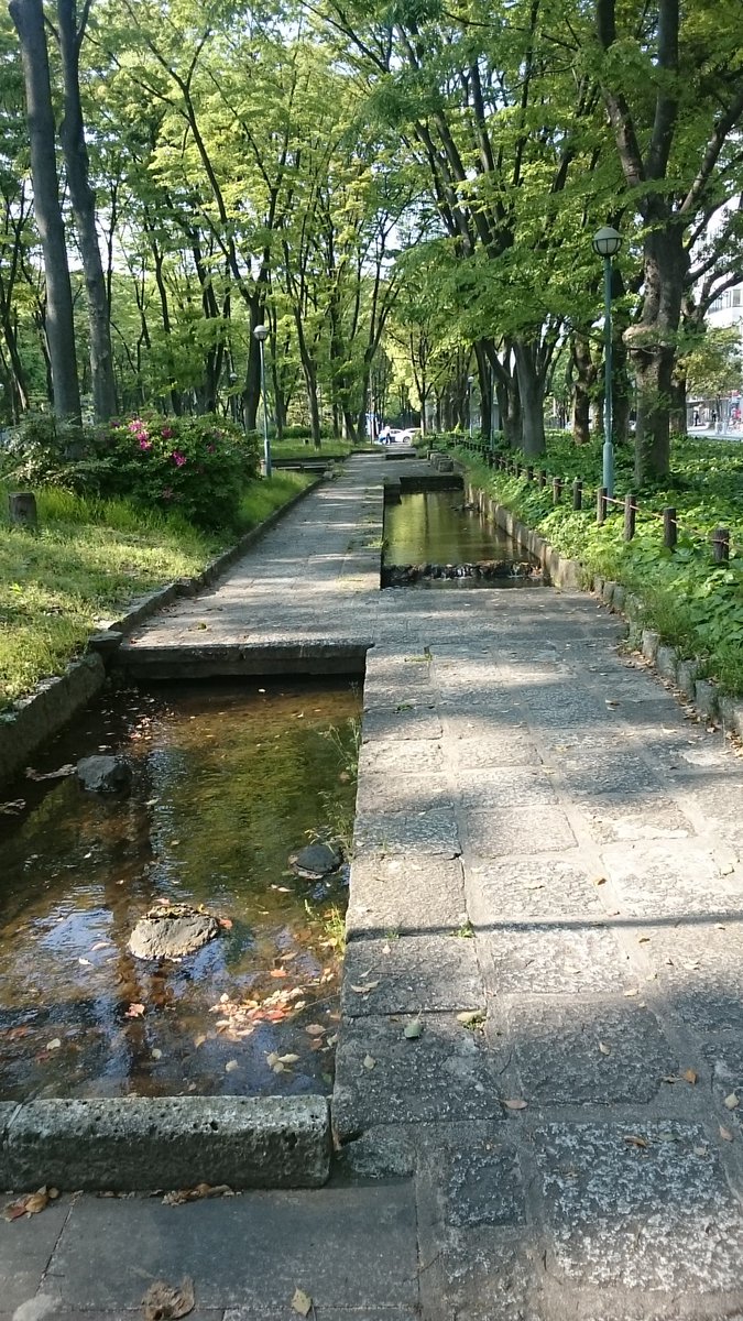 圖片來源:satumapoteto/Twitter