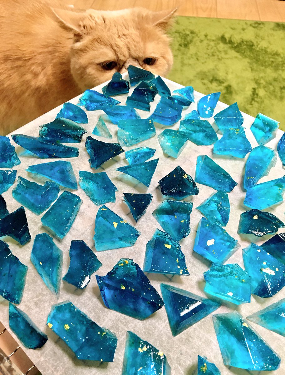 圖片來源:boku_5656/twitter