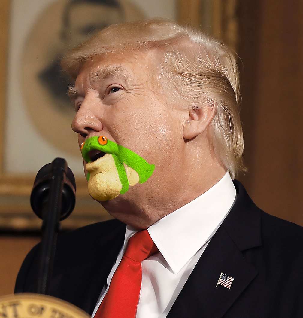 圖片來源: sirmitchell/twitter