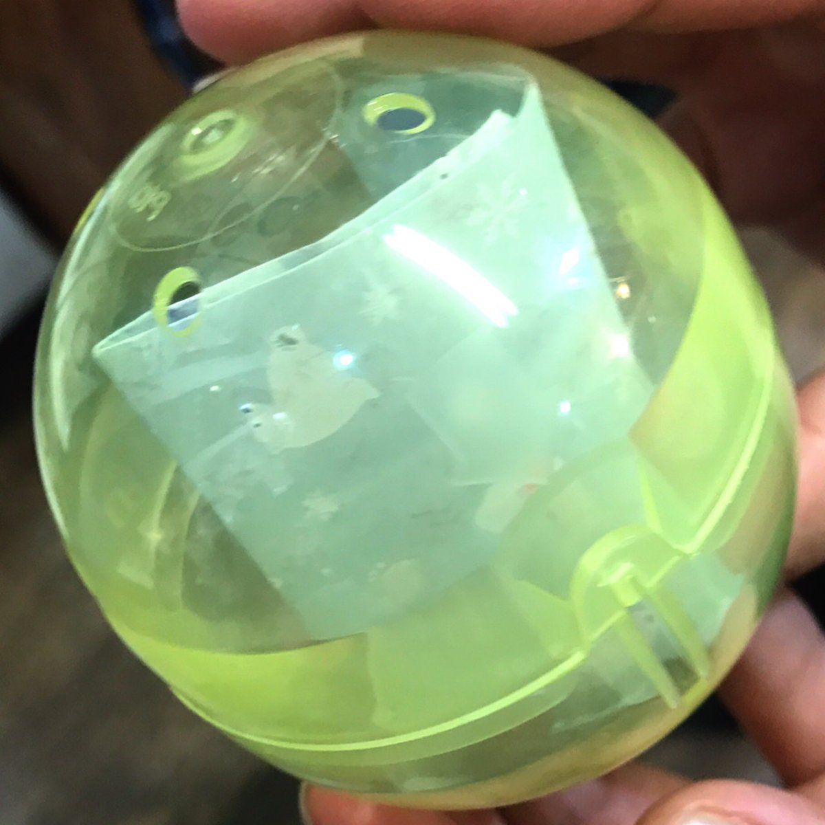 圖片來源:mmmmato_/twitter