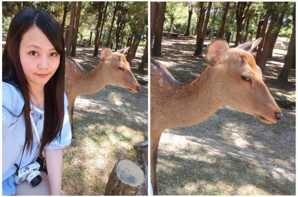 圖片來源:洪綺綺/爆廢公社