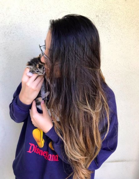 圖片來源:the Dodo