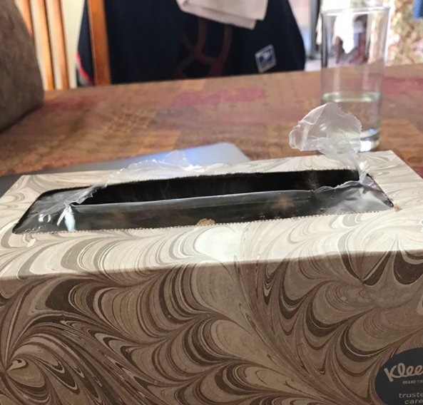 圖片來源:the Dodo