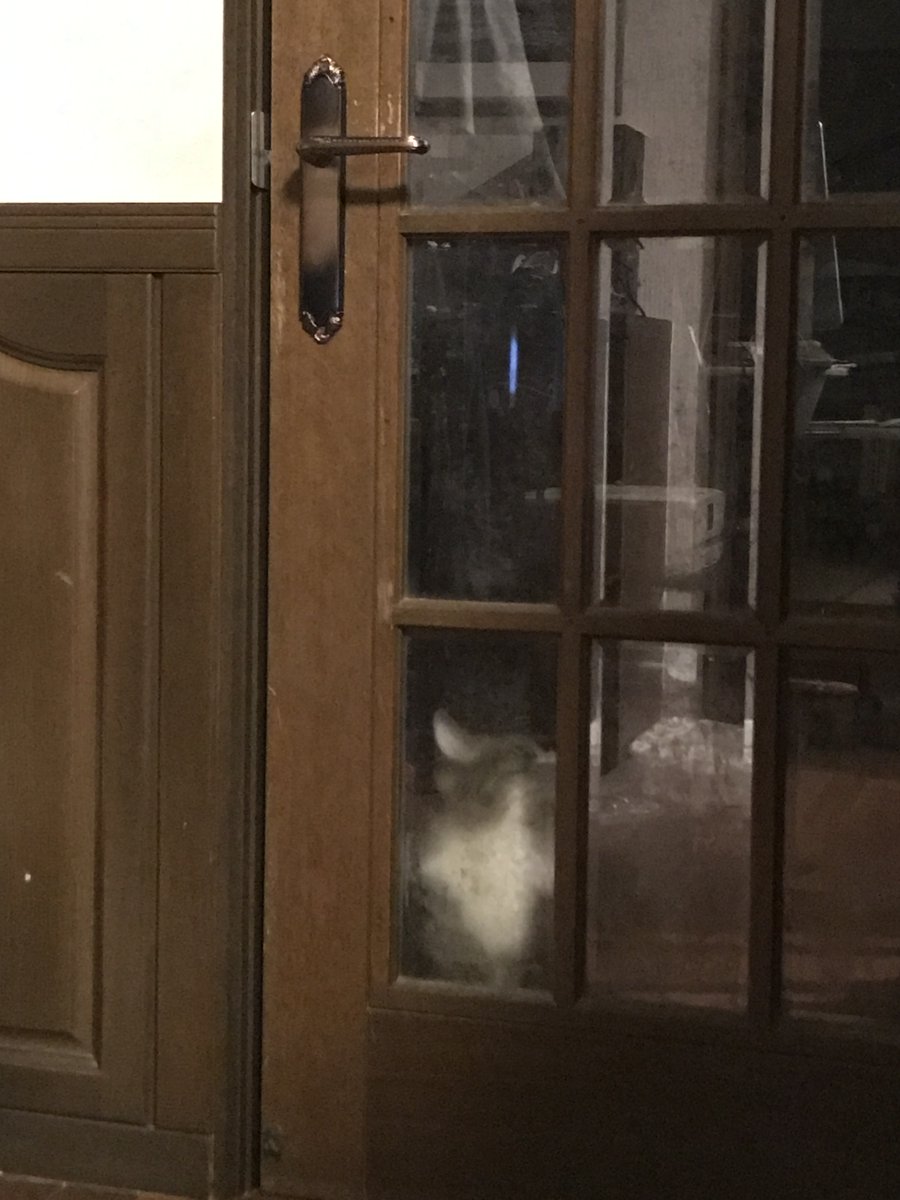 圖片來源:sn_mar30/twitter