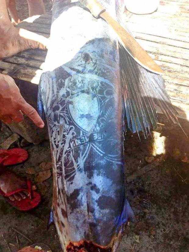 圖片來源：Metro News UK