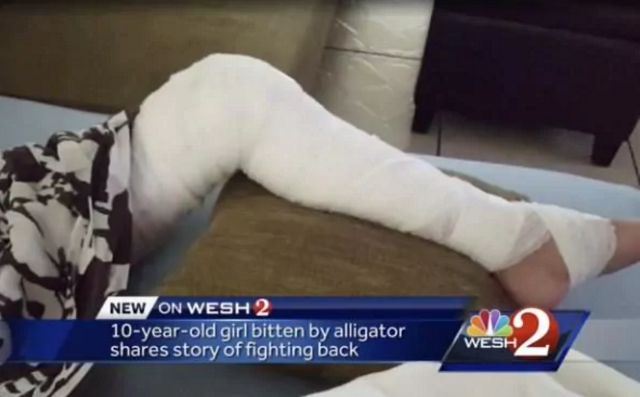 圖片來源：the Telegraph