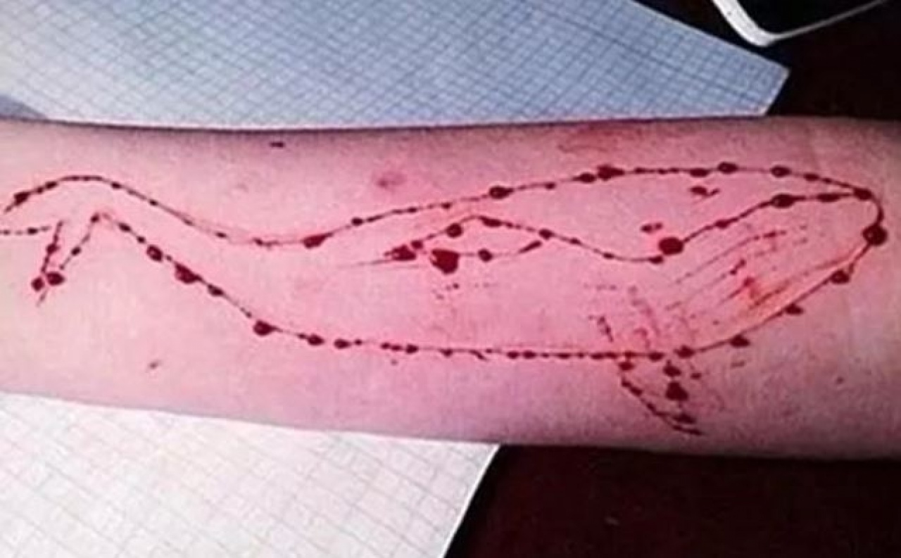 圖片來源:Newshub