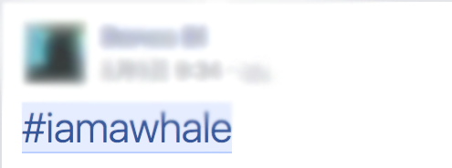 圖片來源:名校 Secrets