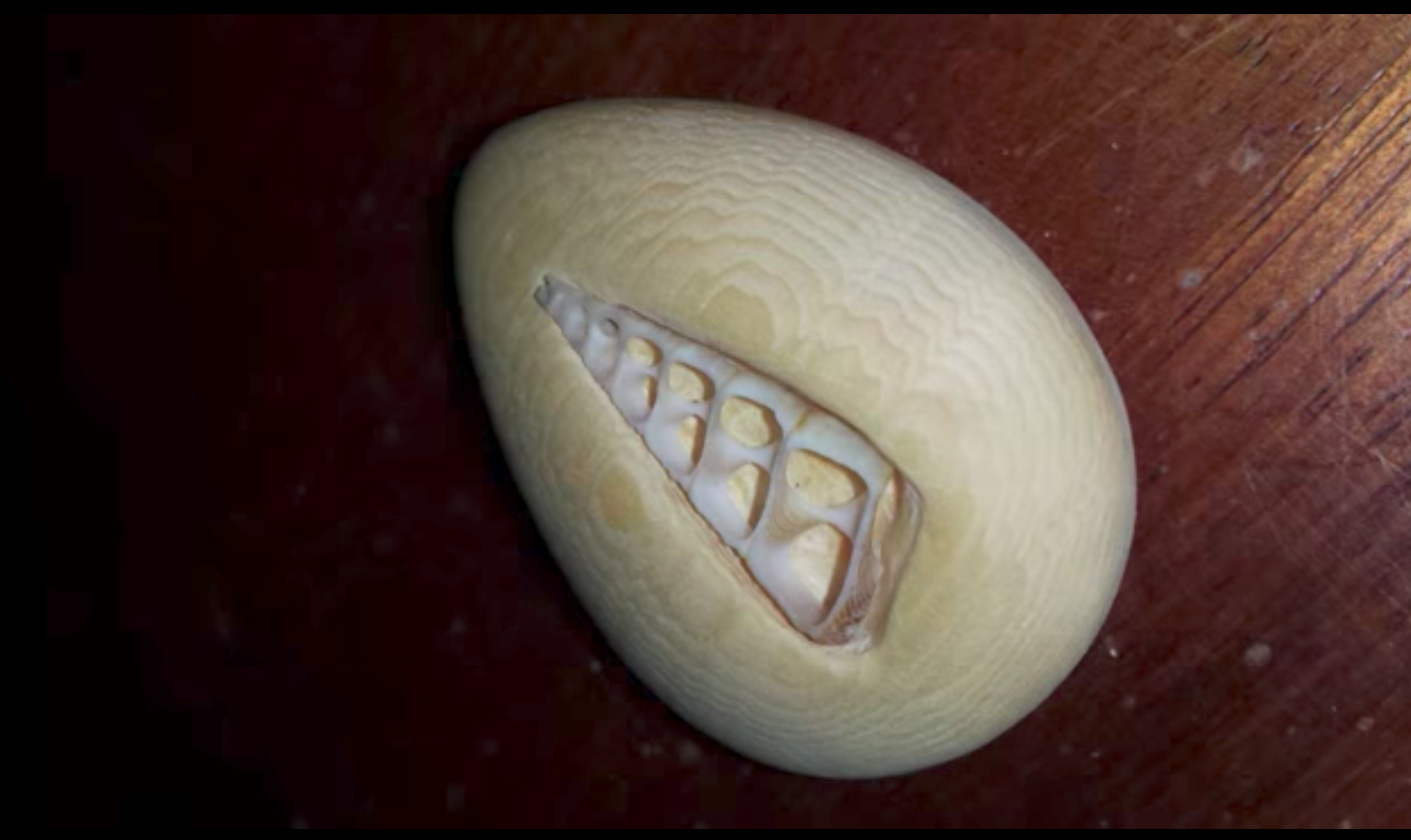 圖片來源:the Huffington Post