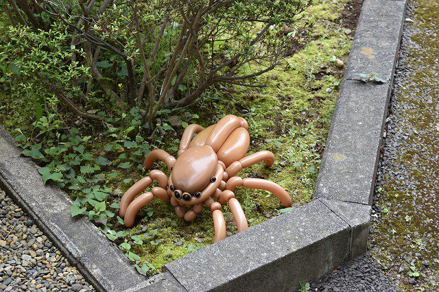 圖片來源：isopresso／twitter