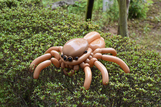 圖片來源：isopresso／twitter