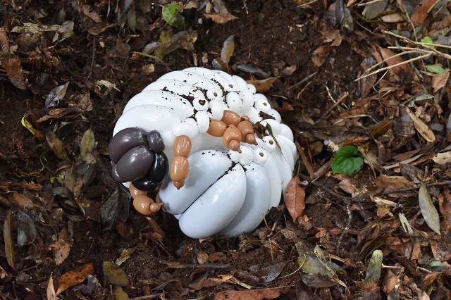 圖片來源：isopresso／twitter