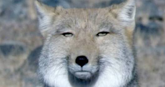 圖片來源:kbooks_collabo/twitter