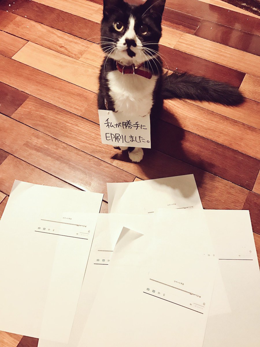 圖片來源：sameanko／twitter