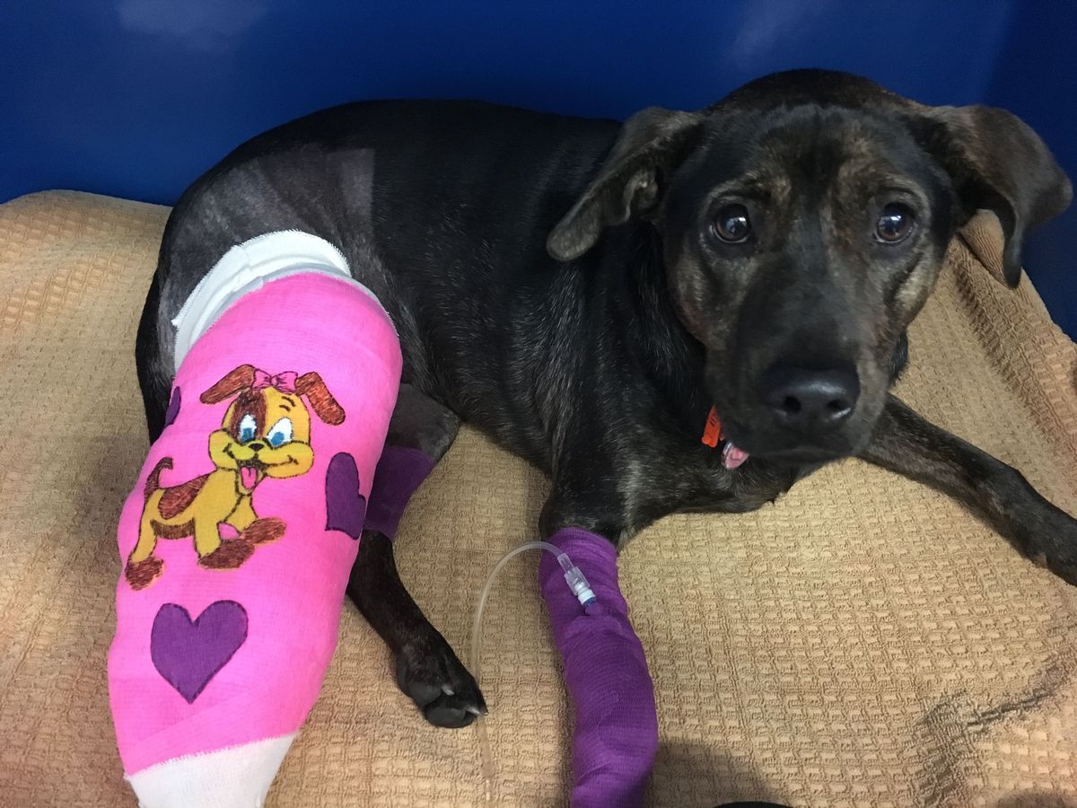 圖片來源：Mashable