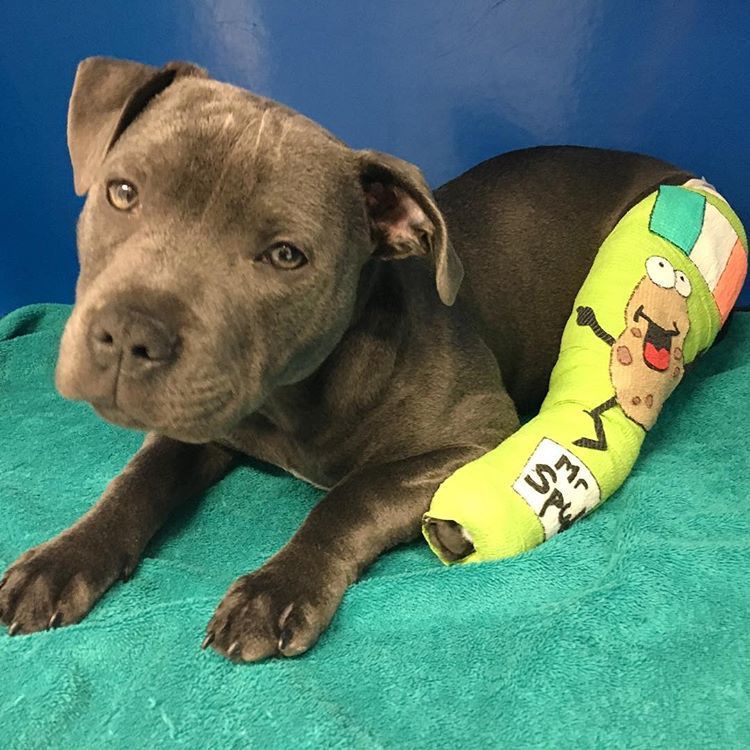 圖片來源：Mashable