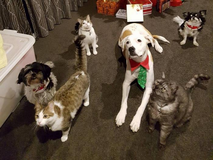 圖片來源：omgfacts