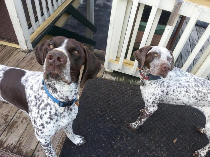 圖片來源：omgfacts