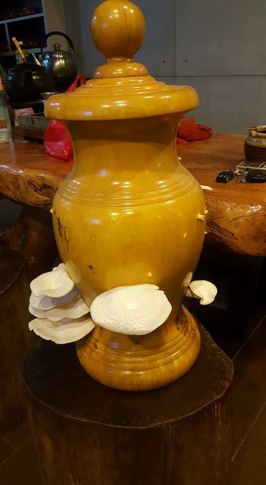 圖片來源:張國偉