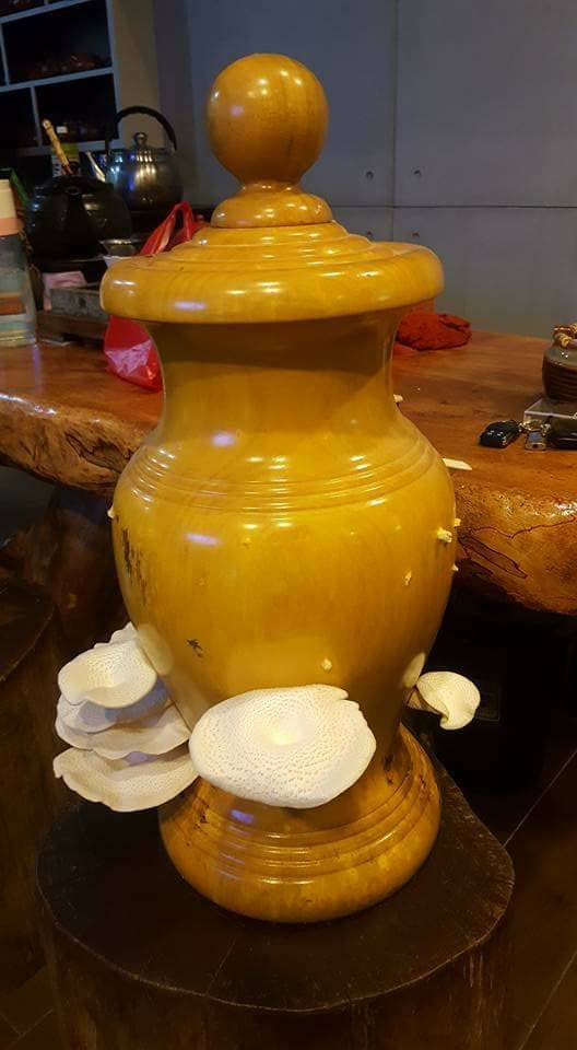 圖片來源:張國偉