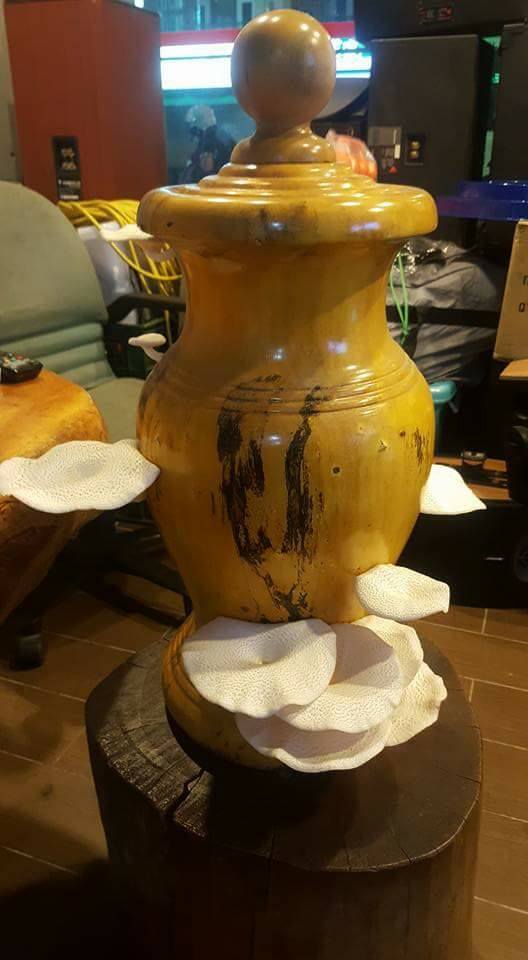 圖片來源:張國偉