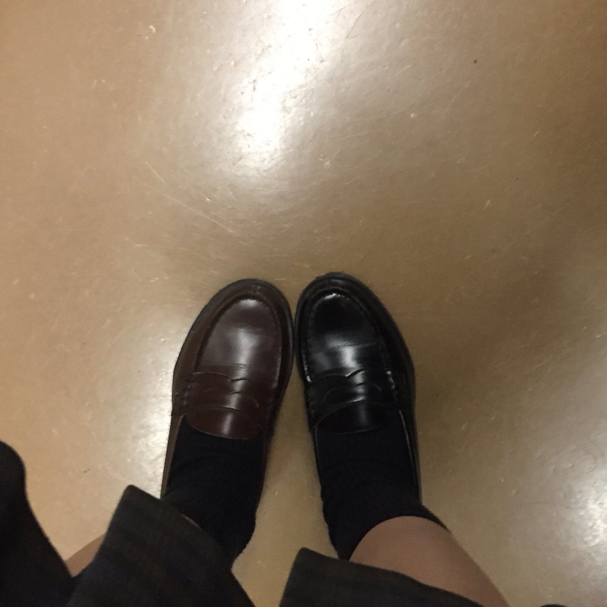 圖片來源：_Rena_Shibuya／twitter