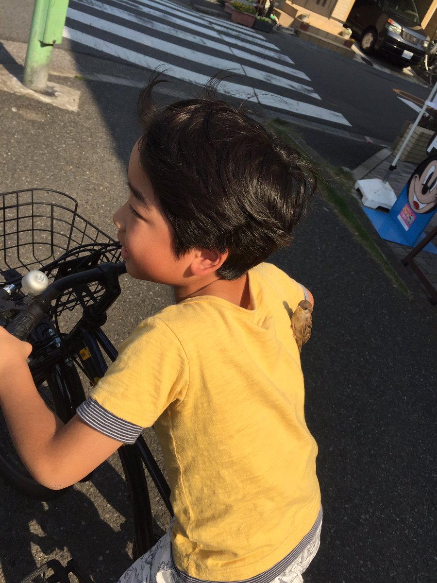 圖片來源:n_ryota/twitter