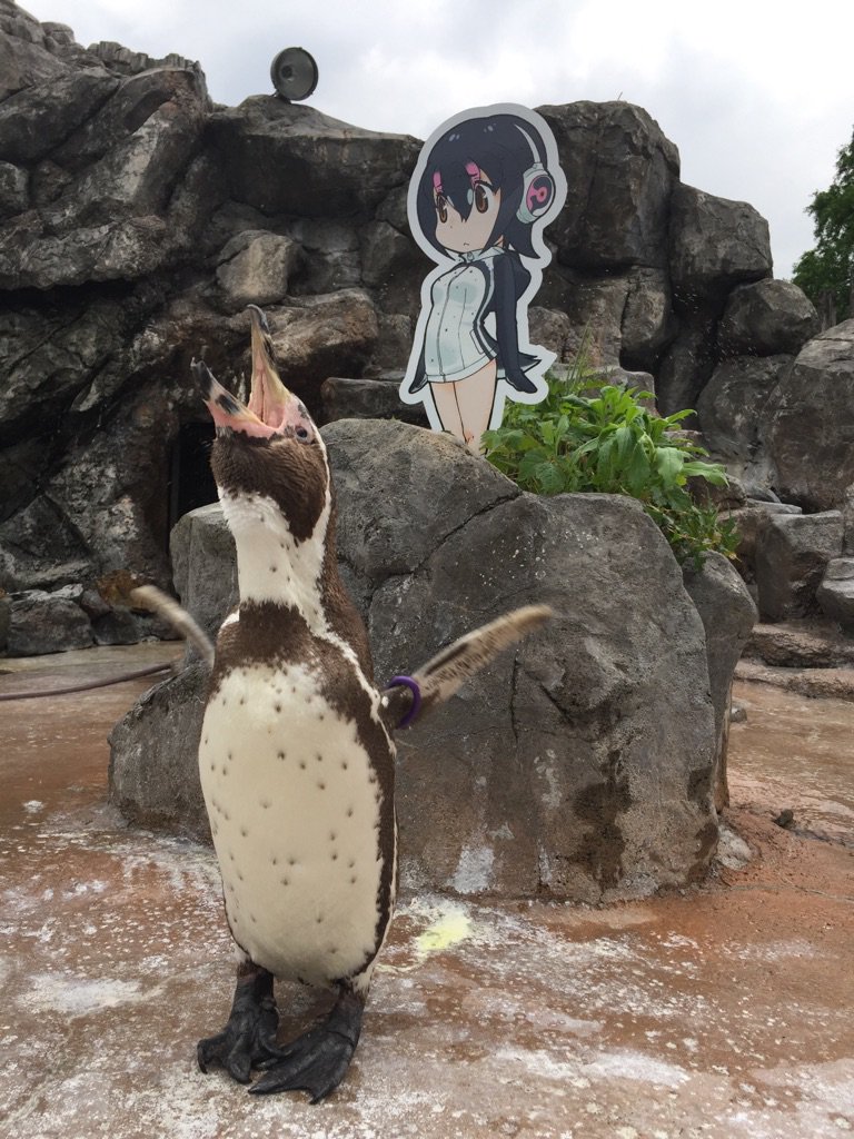 圖片來源:tobuzoo7/twitter