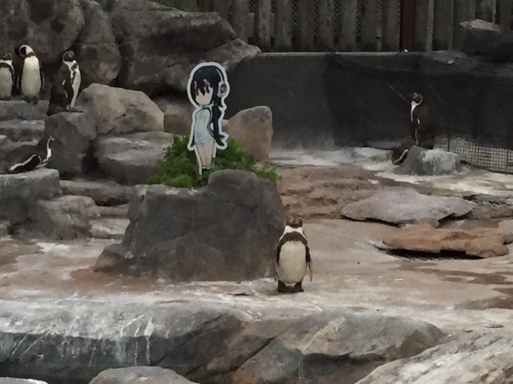 圖片來源:tobuzoo7/twitter