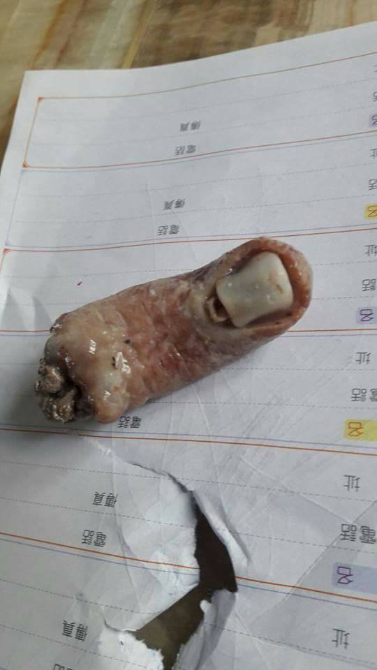 圖片來源：吳謹嘉