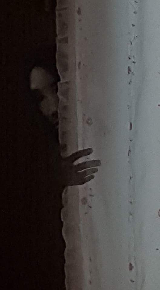 圖片來源：PinkMiruku／twitter