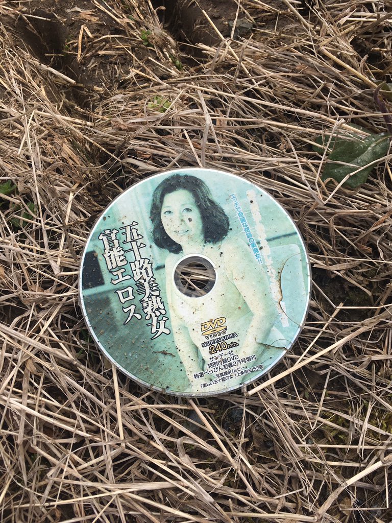 圖片來源：largus4532