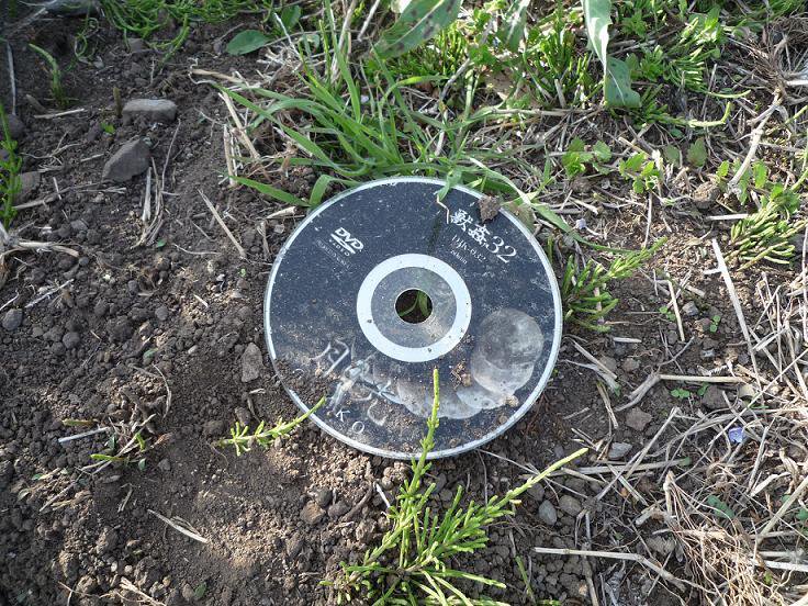 ​圖片來源：3ikeniel