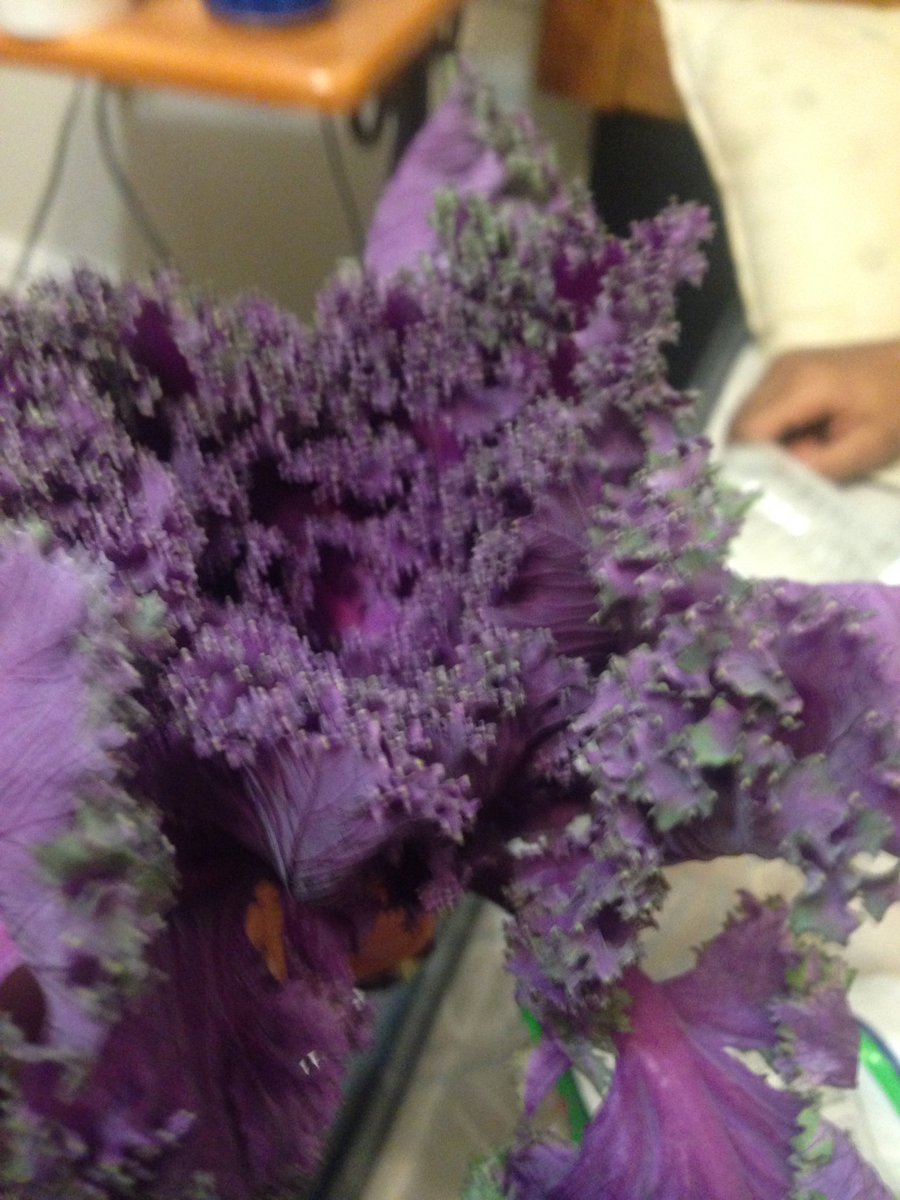 圖片來源：JayJailyn／twitter