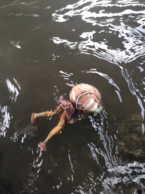 圖片來源:guardian_natu/twitter