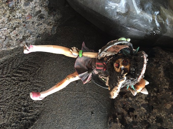 圖片來源:guardian_natu/twitter