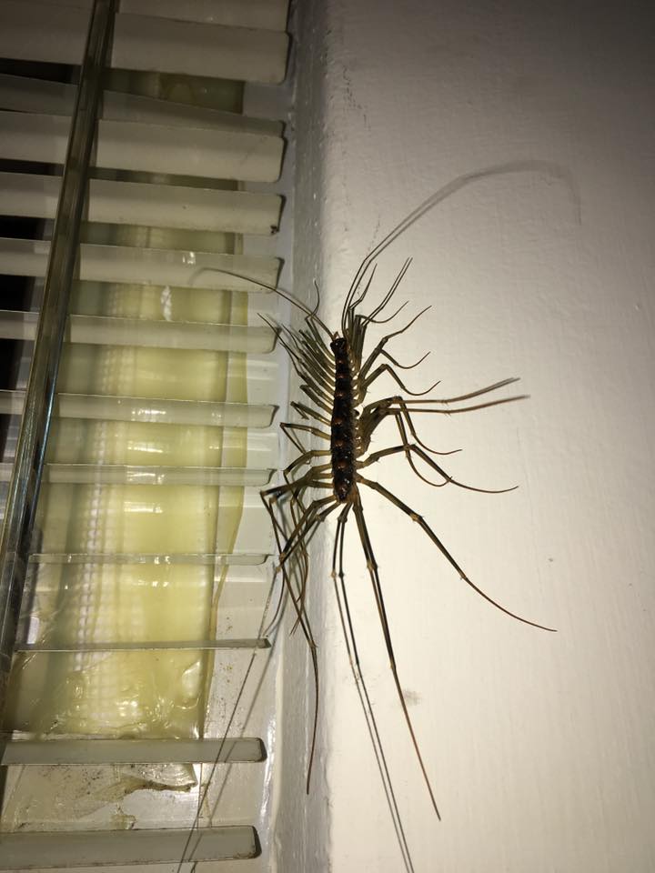 圖片來源：Po-Wei Chang／●【爆料公社】●