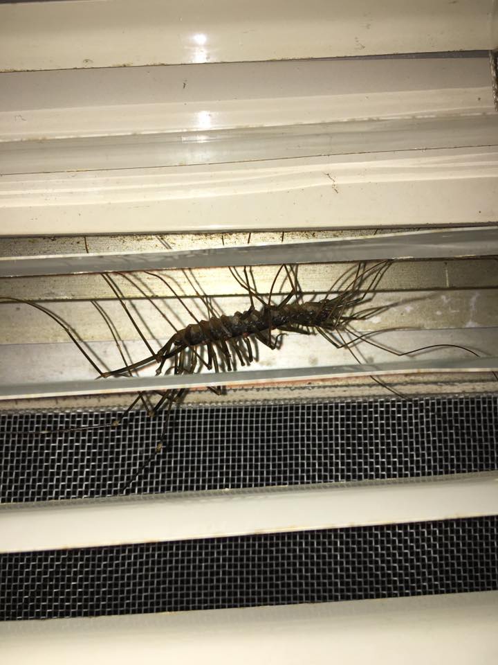 圖片來源：Po-Wei Chang／●【爆料公社】●