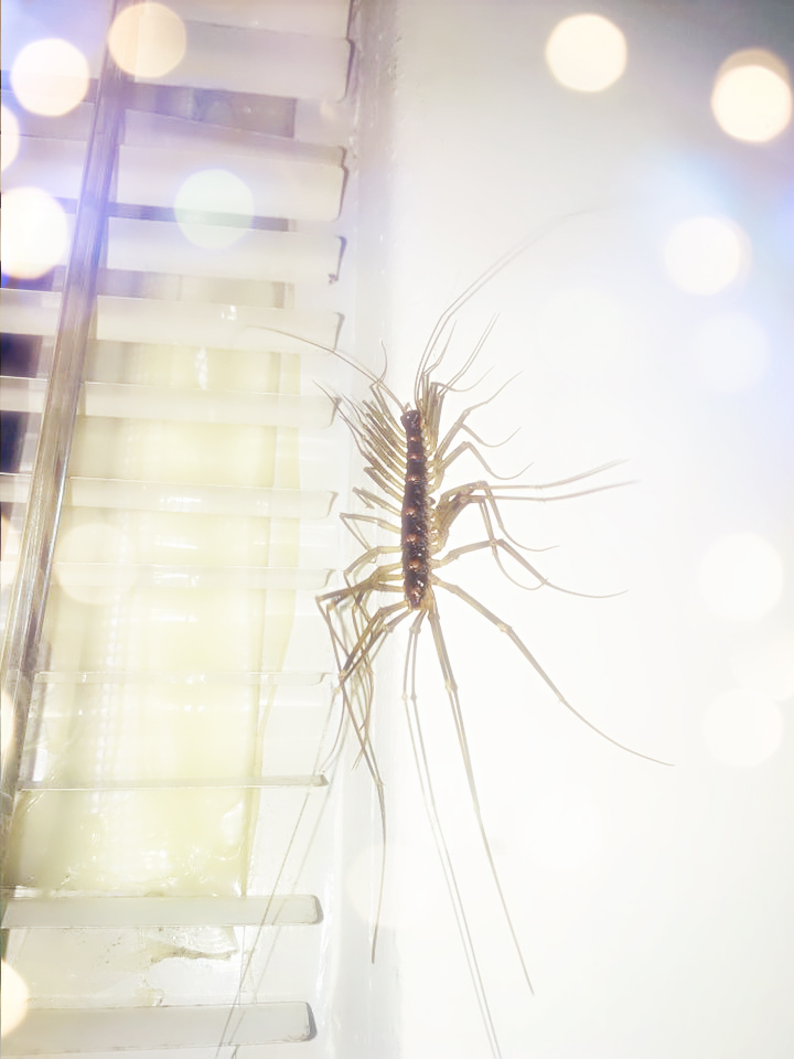 圖片來源：Po-Wei Chang／●【爆料公社】●