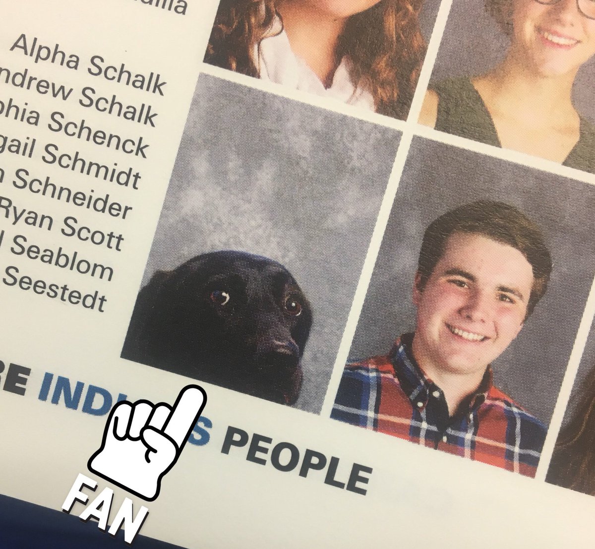 圖片來源：t1dfighter_aj／twitter