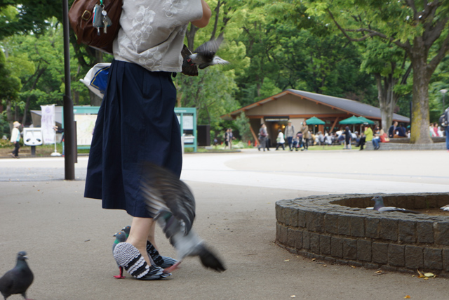 圖片來源：Daily Portal