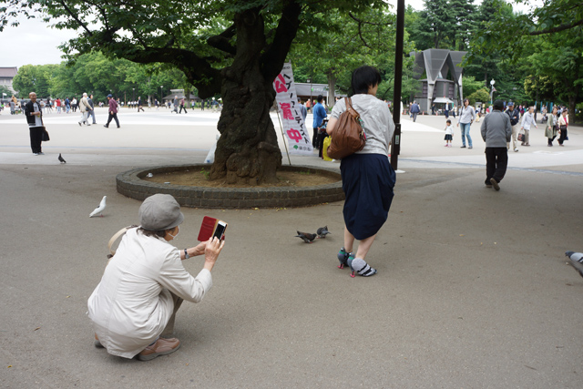 圖片來源：Daily Portal