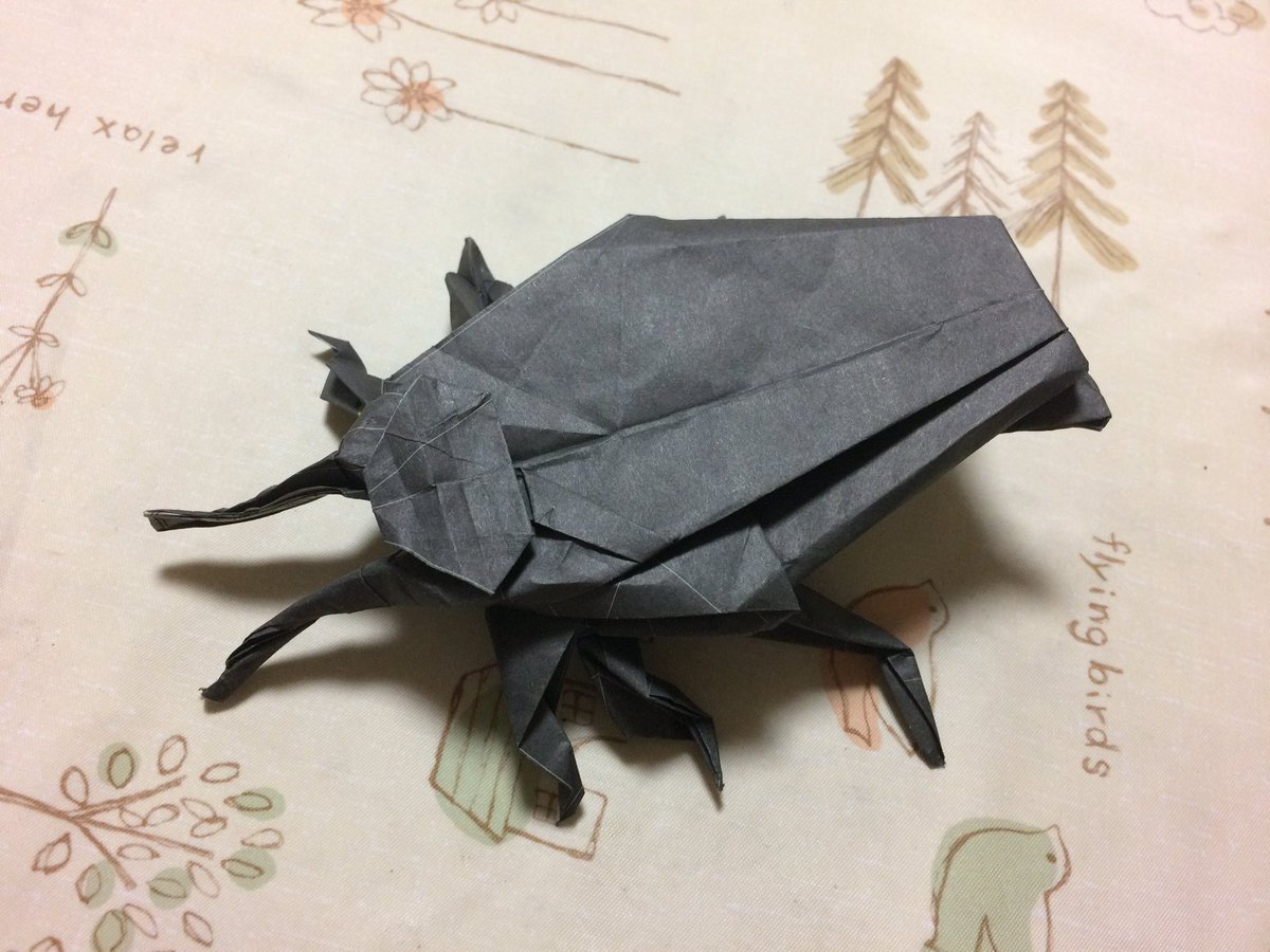 圖片來源:fowllia/twitter