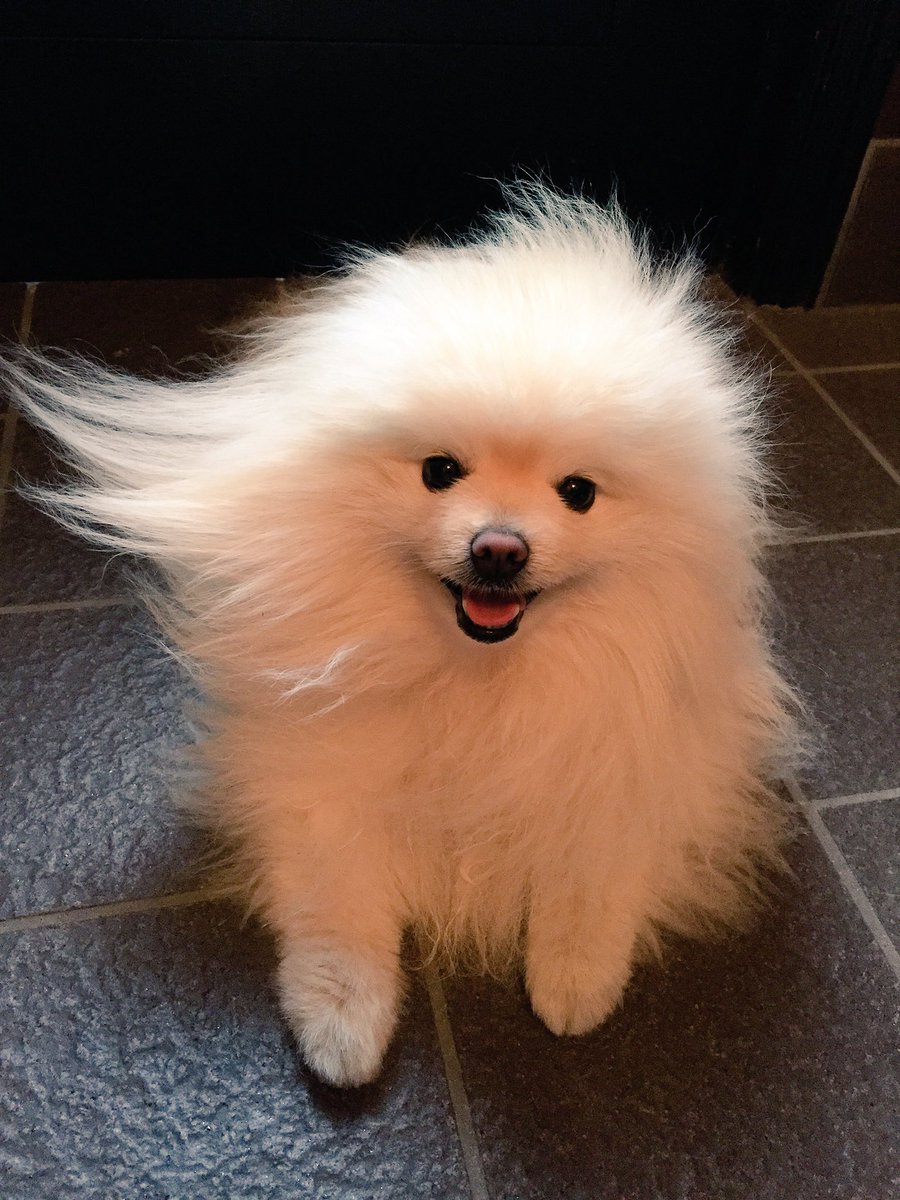 圖片來源：618_mail／twitter