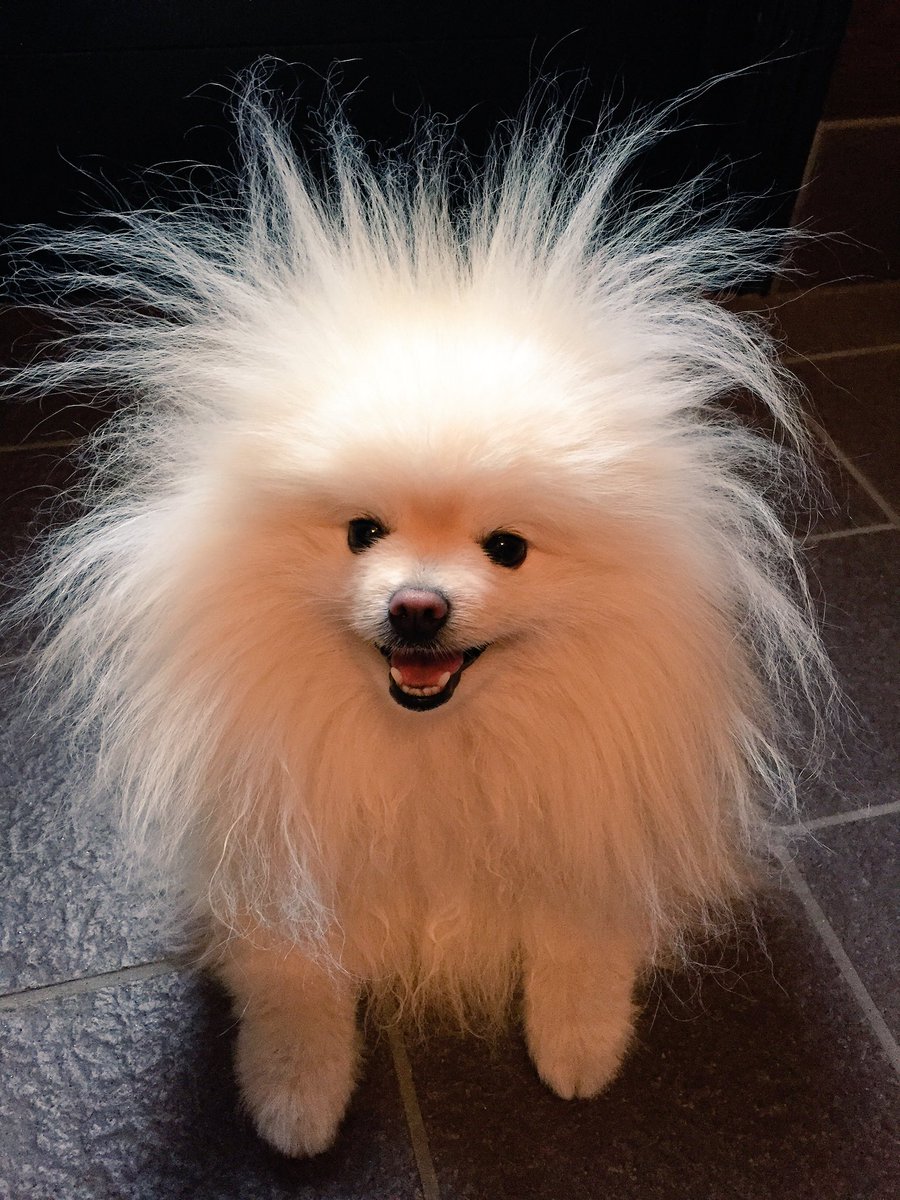 圖片來源：618_mail／twitter