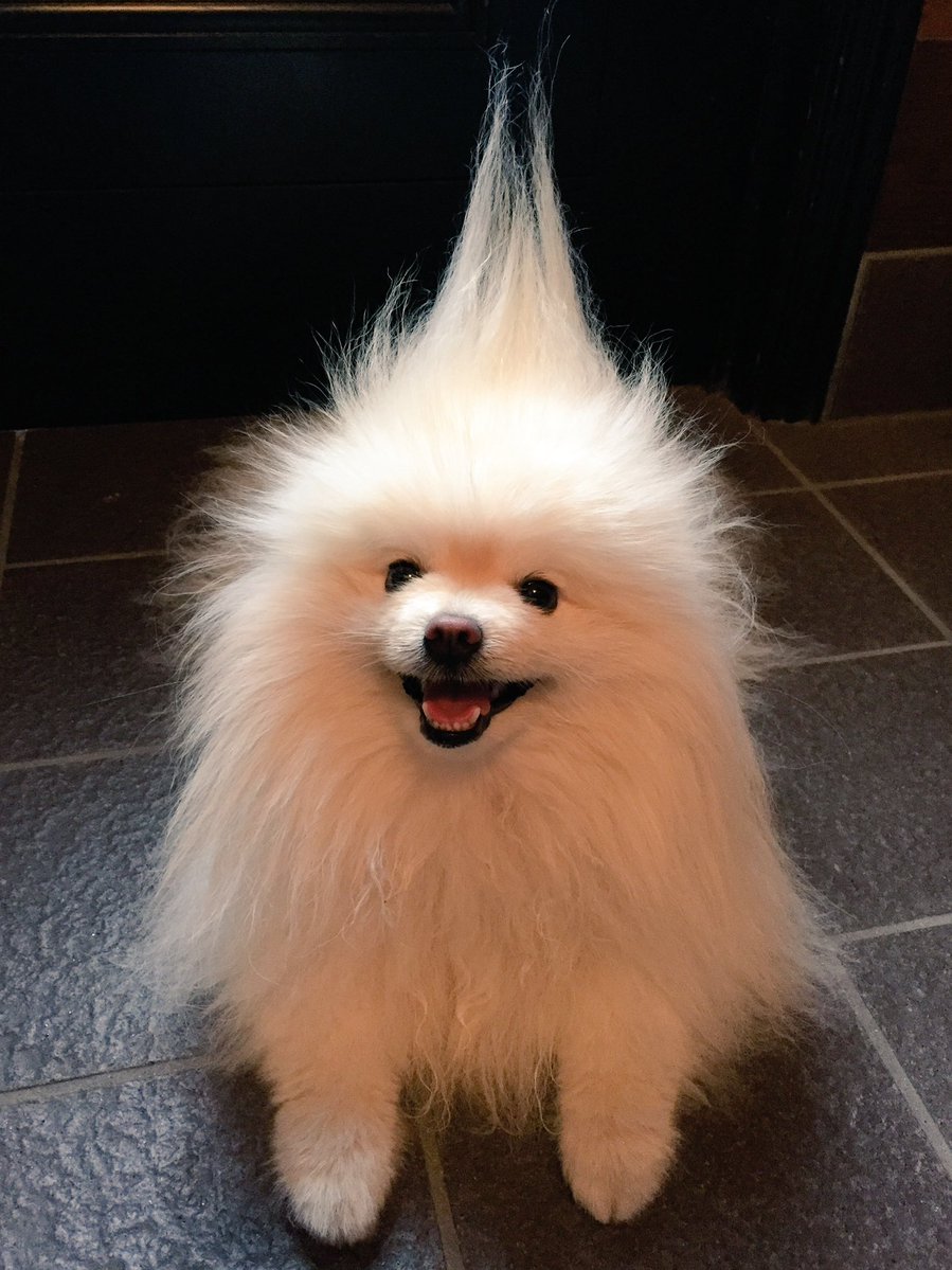 圖片來源：618_mail／twitter