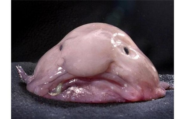 圖片來源：Pinterest